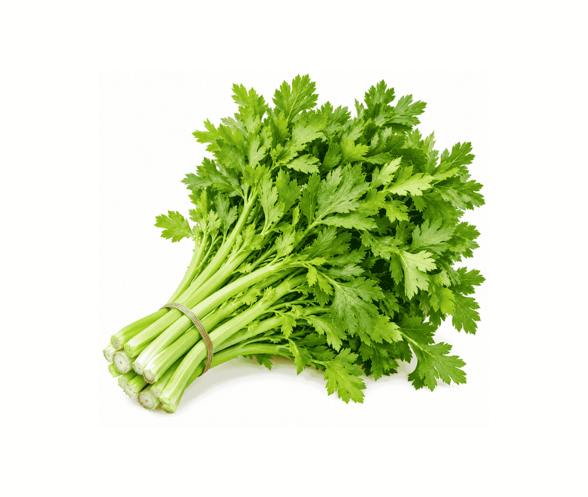 Celery Leave - 1 Bunch