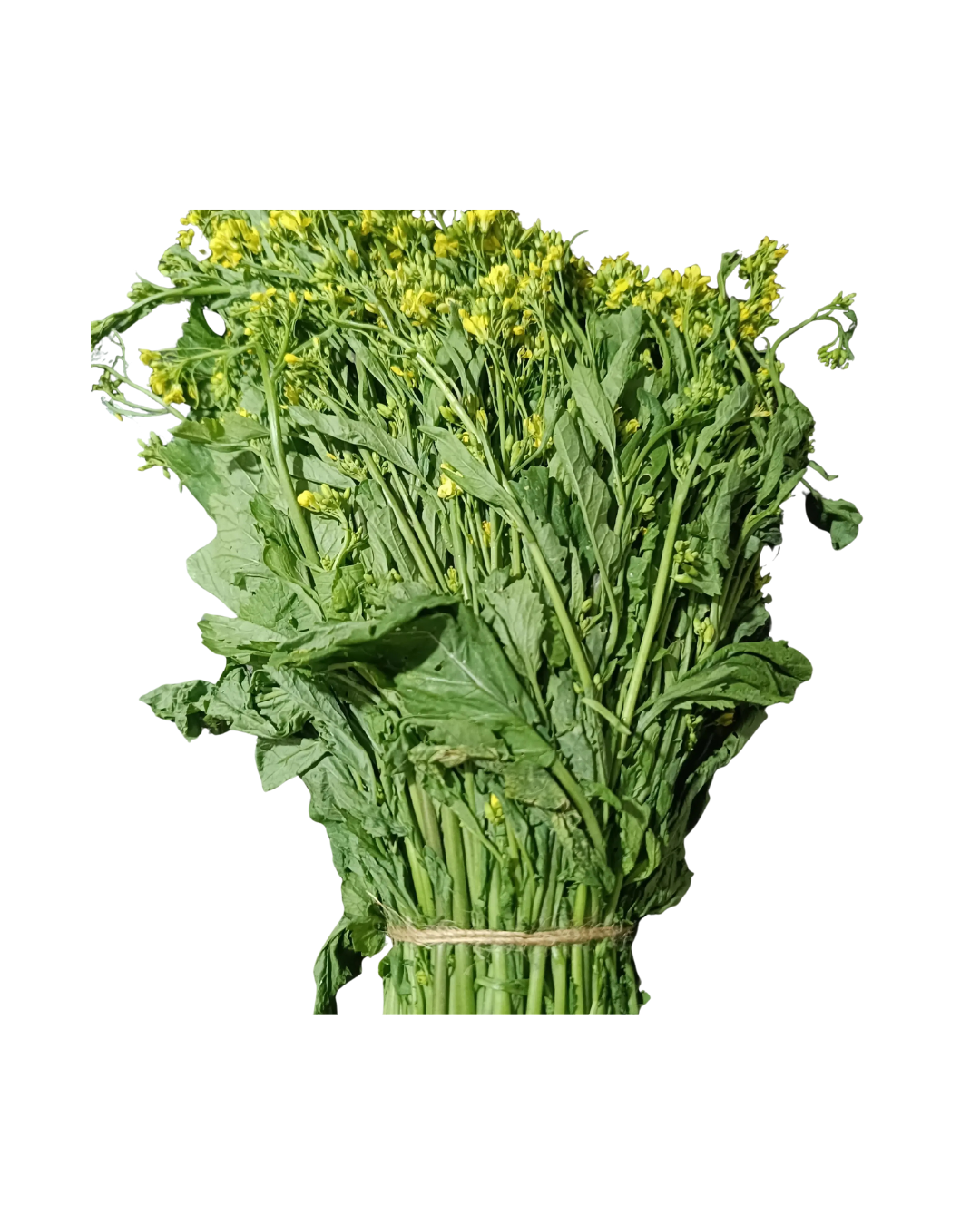 Mustard Leaf With Flowers-1 bunch