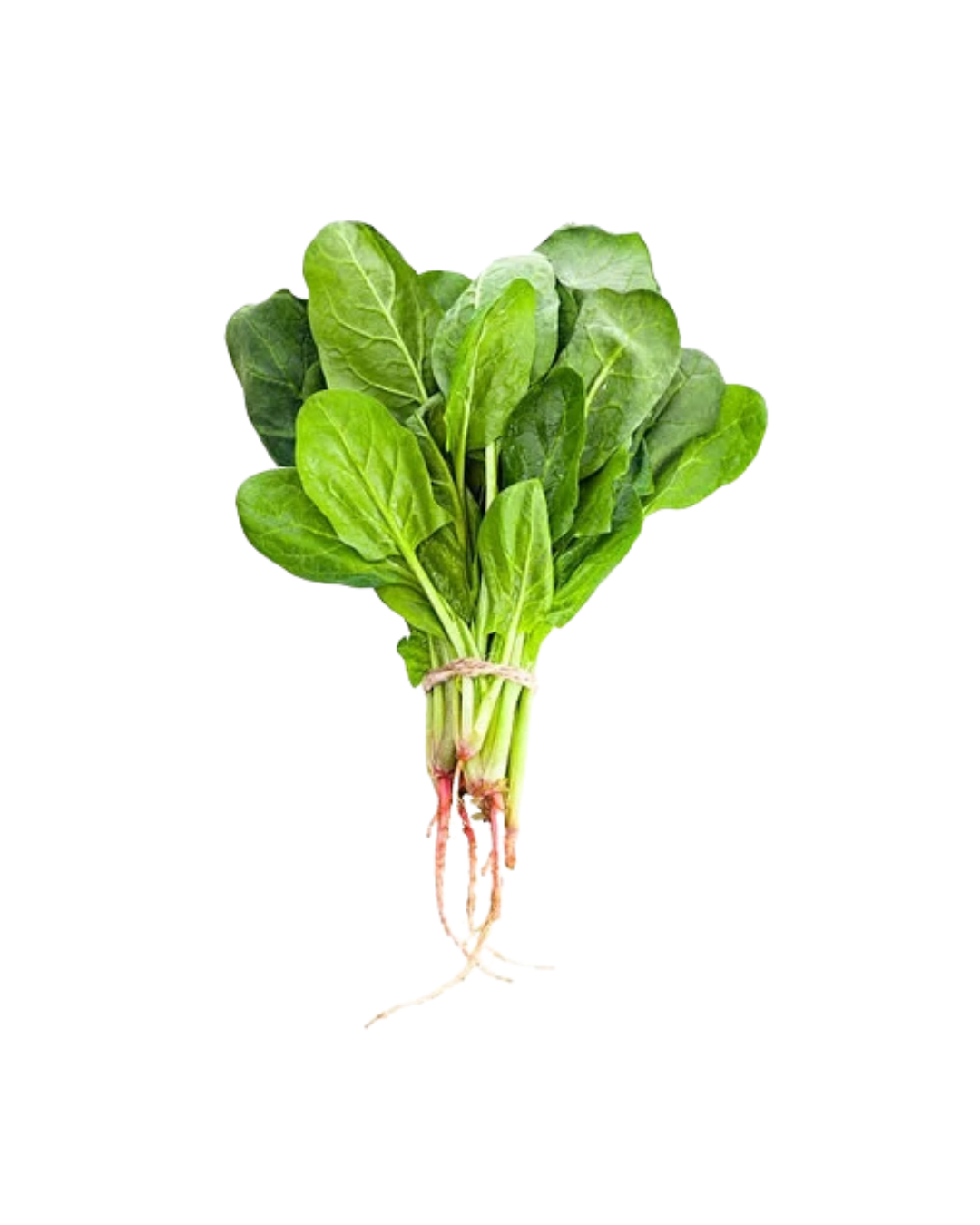 Palak (spinach)-with Roots - 1bunch