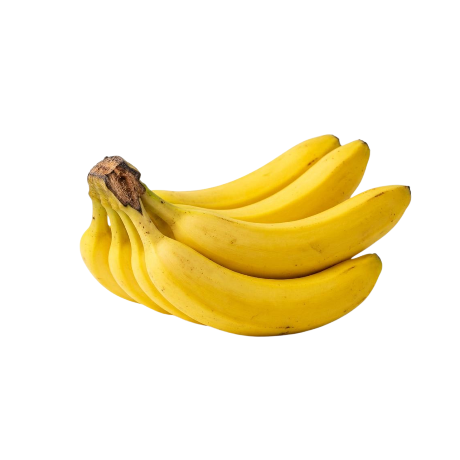 Cavendish Banana (Large)