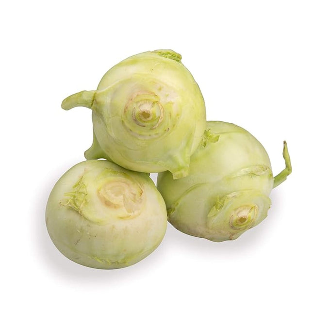 Knol Khol - White, 1Kg