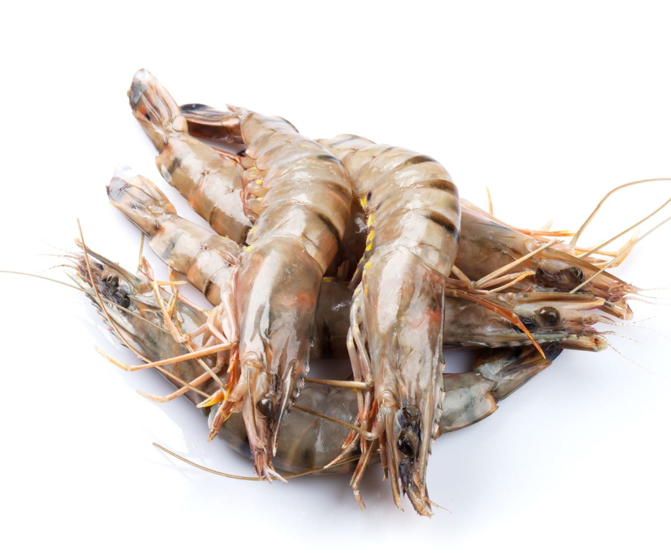 Tiger Prawns, 1kg
