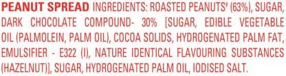 Kissan Hazelnut Choco Peanut Spread, 350 gm