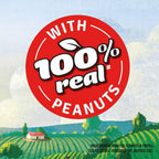 Kissan Peanut Butter Creamy, 350 gm