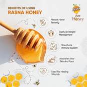Rasna Honey 100 gm