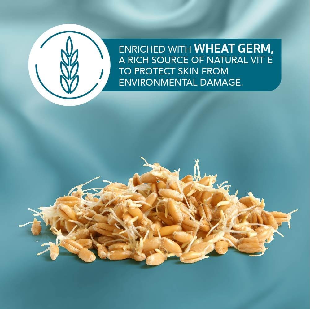 Himalaya Winter Defense Moisturizing Cream, 100ml