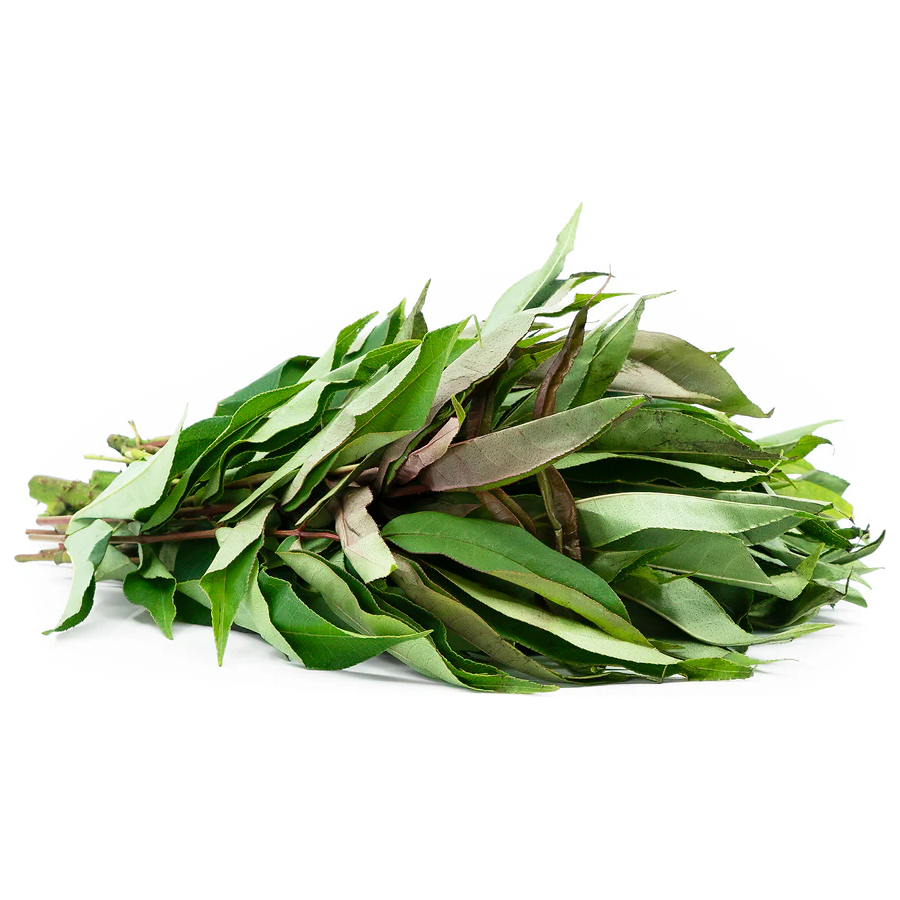 Michinga Patta/Sichuan, 1 Bunch