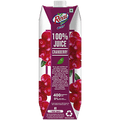 Real Activ 100% Juice Cranberry, 1L
