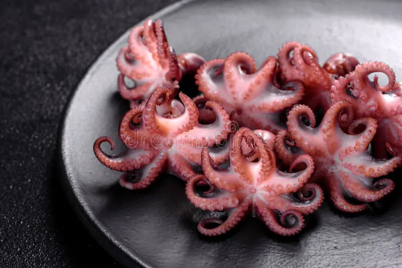 Baby Octopus, Deep Blue - 1kg