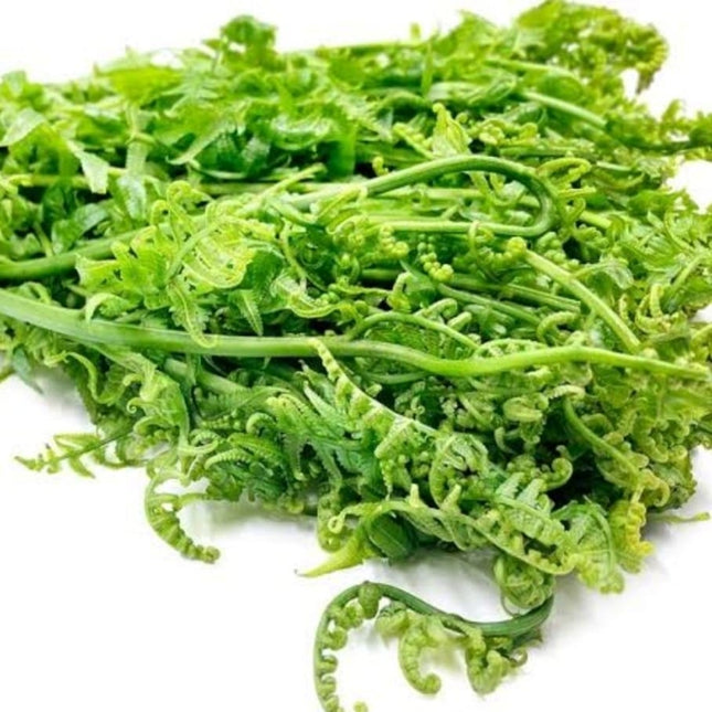 Dhekia Xaak, Fiddlehead Ferns, 1 Bunch
