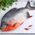 Pomfret, Curry Cut, 1kg