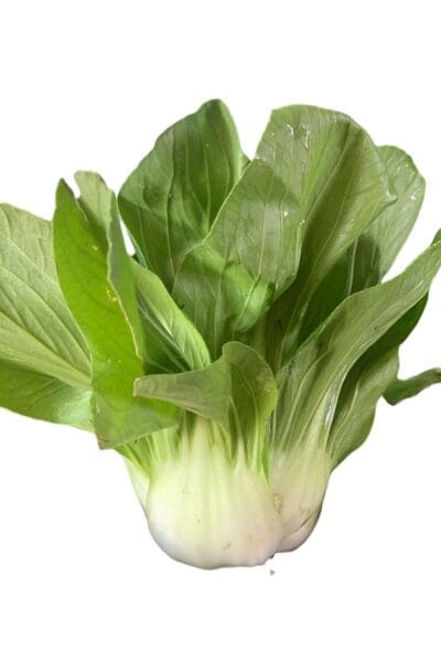 Bok Choy, 1 Head